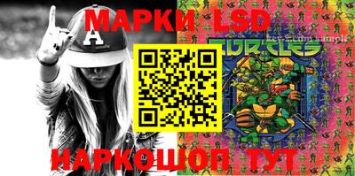 индика Баксан