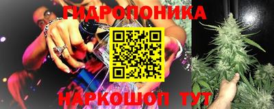 ешки Аша